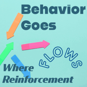 Behavior Goes Where Reinforcement Flows