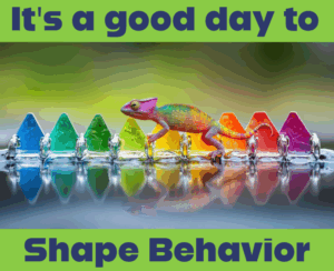 Shaping Behavior